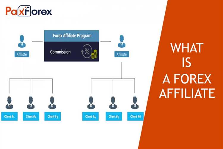 How much do forex affiliates make