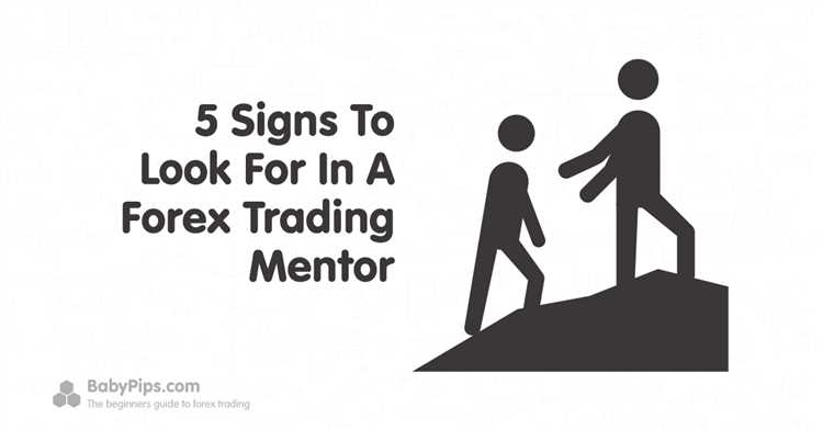 How to find a mentor for forex trading