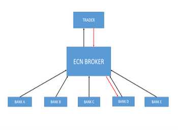 พื้นฐานของบัญชี Forex ECN