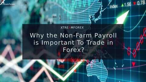 ฟังก์ชันและการใช้งานข้อมูล non farm payroll ในแพลตฟอร์มการซื้อขาย Forex