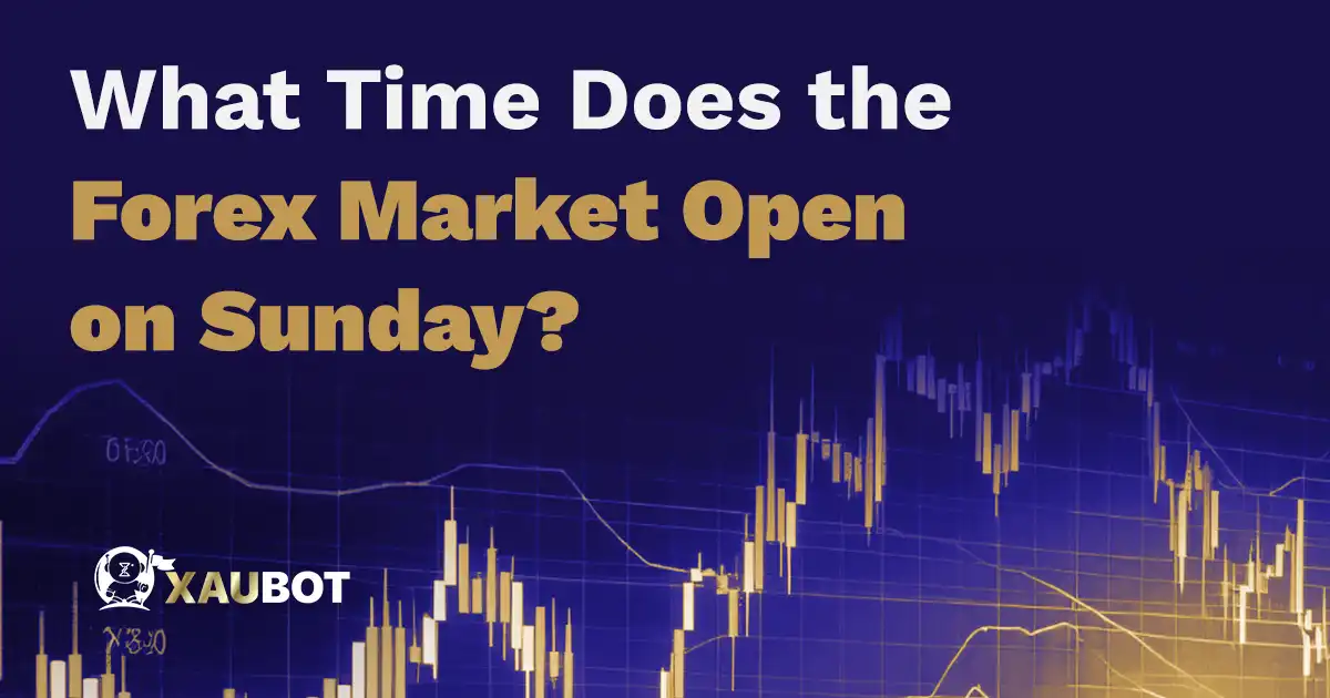What time does the forex market open on sunday in south africa